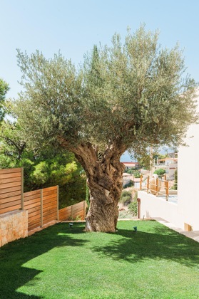 Gallery - Villa Blue Coast Lagonissi