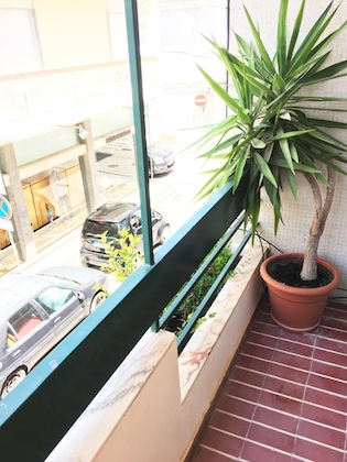 Gallery - Lemon Tree Apartments