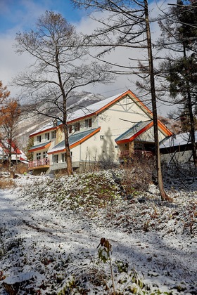 Gallery - Canopy Cortina Lodge