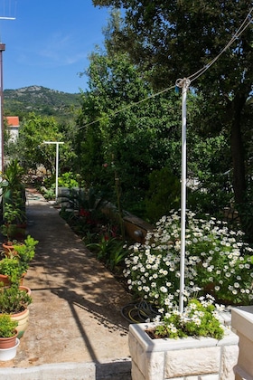 Gallery - Apartments Marina