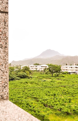 Gallery - Sun Giraffe Taitung B&B