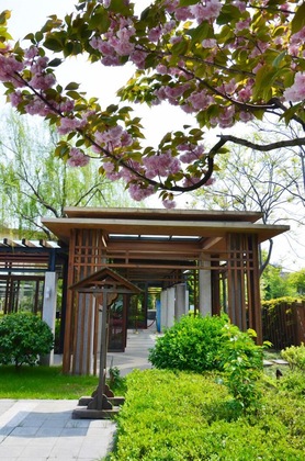 Gallery - Phoenix Hotspring Resort