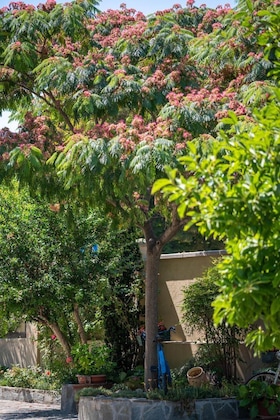 Gallery - Villa Mery