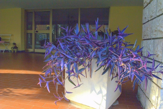 Gallery - Casa Patavina