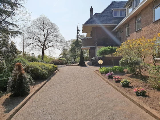 Gallery - Wyllandrie