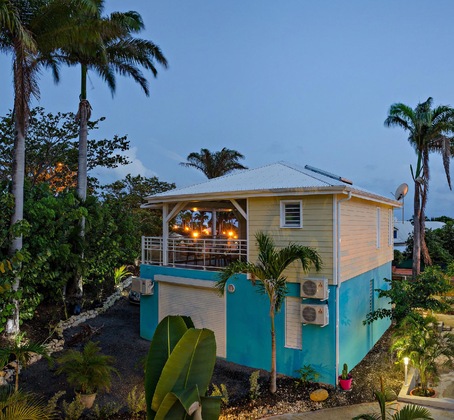 Gallery - Majesty Palm