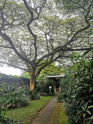 Gallery - St Lucia Wilds