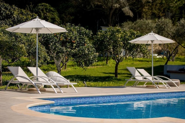 Gallery - Antigone Estate