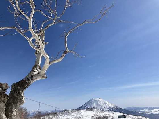 Gallery - Niseko Trail-Head Lodge