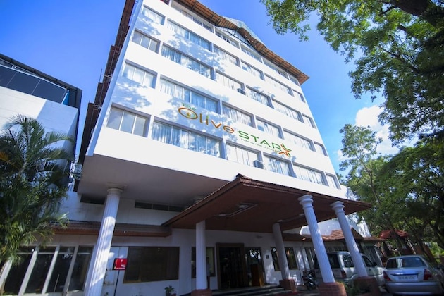 Gallery - The Olive Star