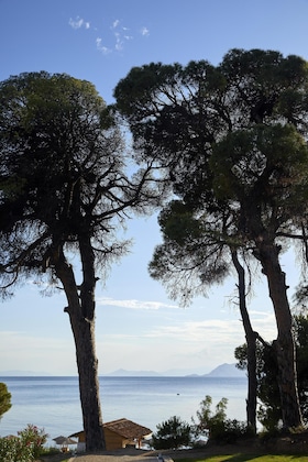 Gallery - Elivi Skiathos