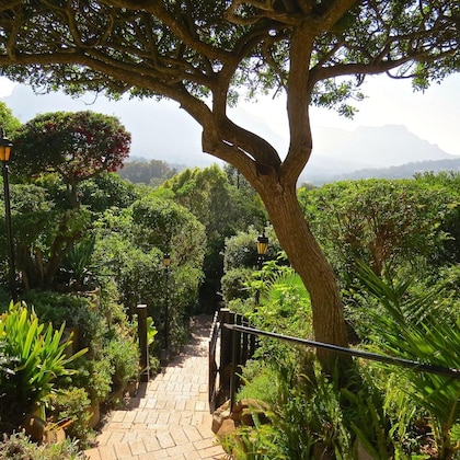 Gallery - Hout Bay Hilltop