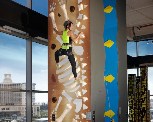 Gallery - Discovery Hotel