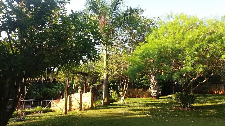 Gallery - Malee Garden