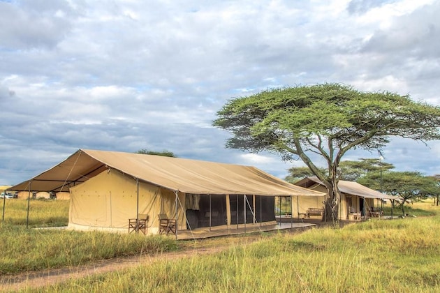 Gallery - Gnu Ndutu Camp