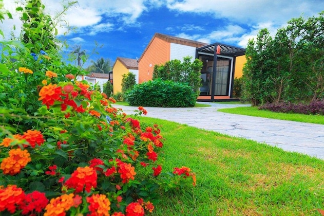Gallery - V Village