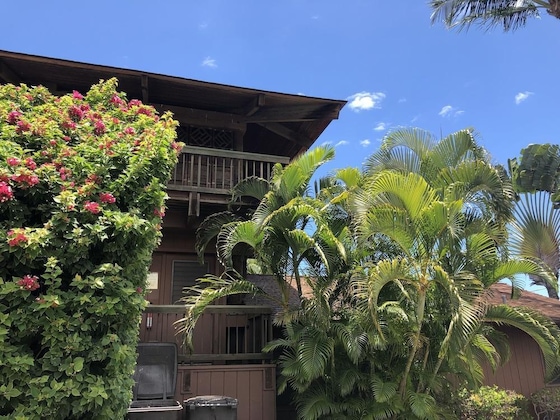 Gallery - Maui What A Wonderful World B And B Hawaii