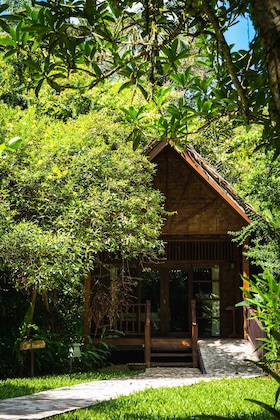 Gallery - Our Jungle House