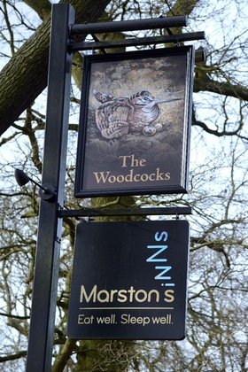 Gallery - Woodcocks