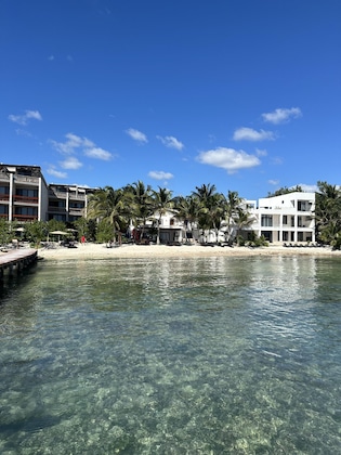 Gallery - Alea Tulum