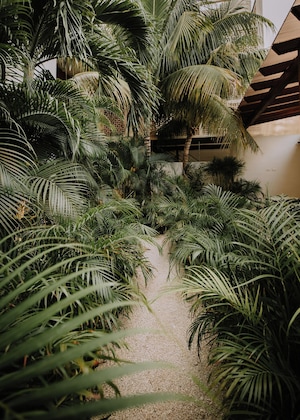 Gallery - The Strabon Tulum