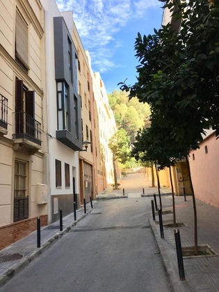 Gallery - Centro Picacho
