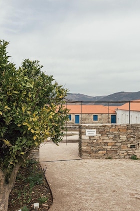 Gallery - Ventozelo Hotel & Quinta