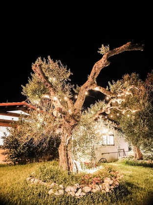 Gallery - Bellaria Residence