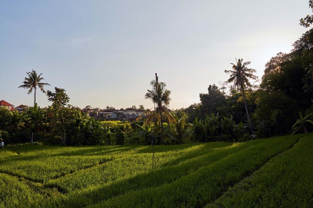 Gallery - Blue Bamboo Villas