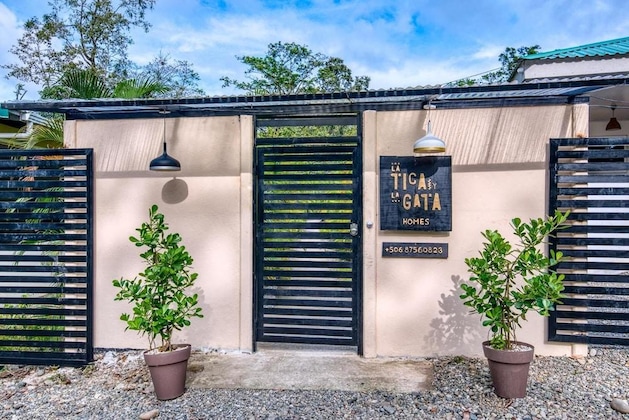 Gallery - La Tica Y La Gata