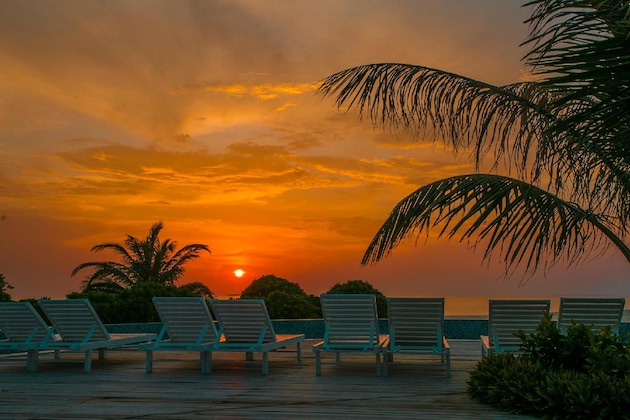Gallery - Hondaafushi Island Resort