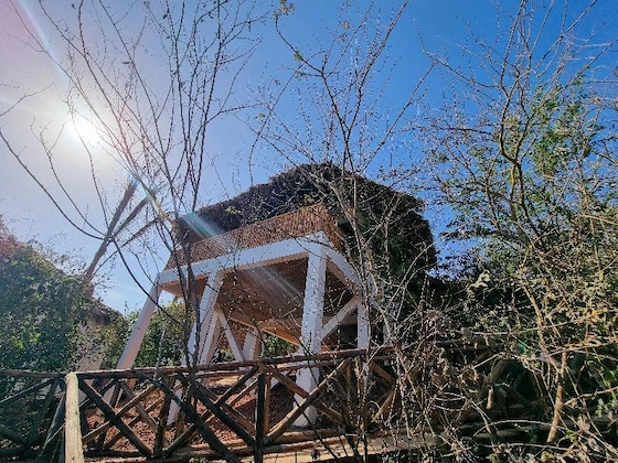 Gallery - Palm Valley Cabins