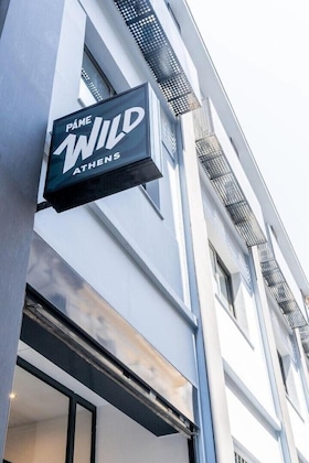 Gallery - Pame Wild