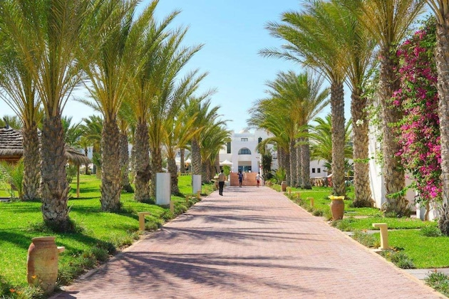 Gallery - Palm Azur