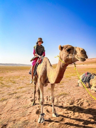 Gallery - Luxury Desert Camp Oman