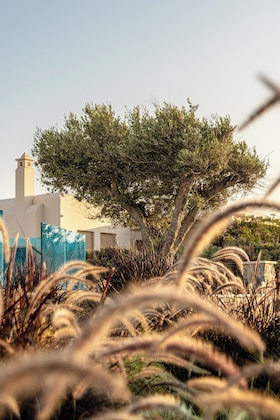 Gallery - Nilea Island Living