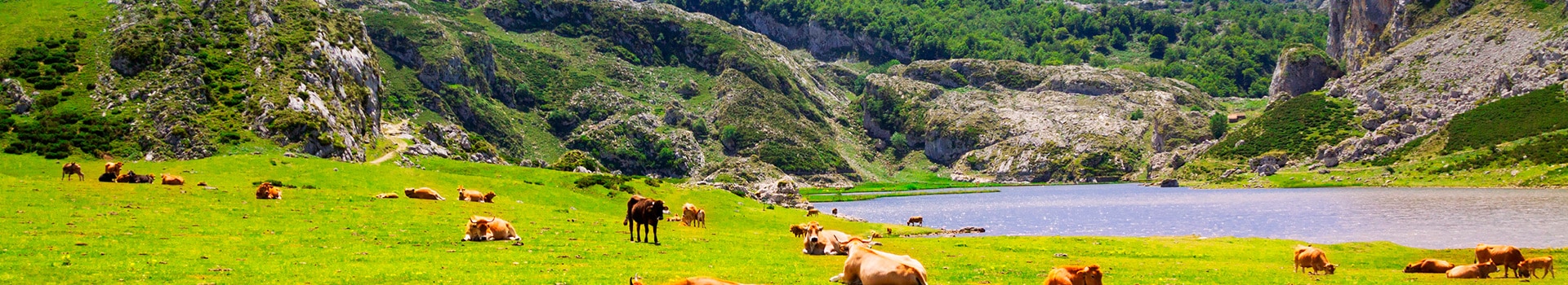 Escapadas **Novembro** **en Asturias** 