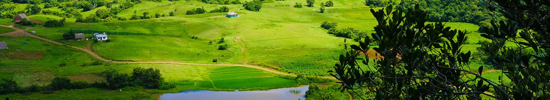 Circuitos Viñales