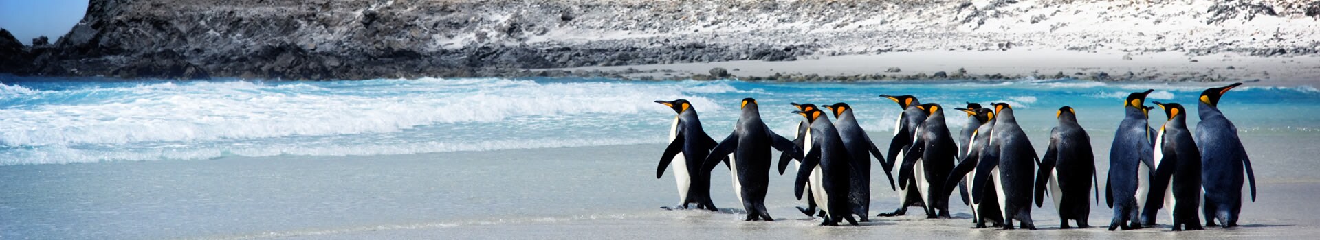 Ilhas Falkland
