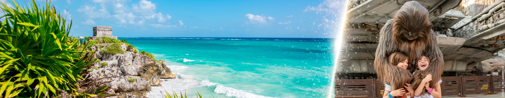 Walt Disney World Orlando e Riviera Maya