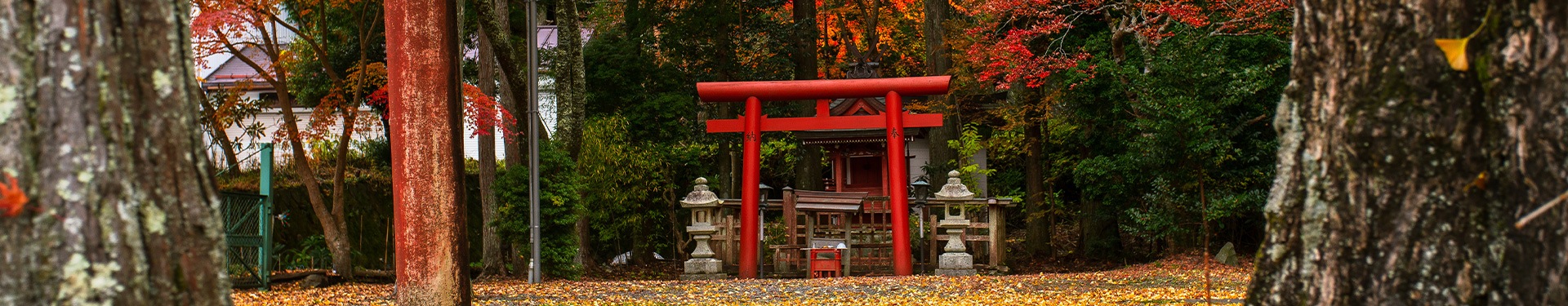 Tóquio, Hiroshima, Mt. Koya, Quioto e Alpes Japoneses