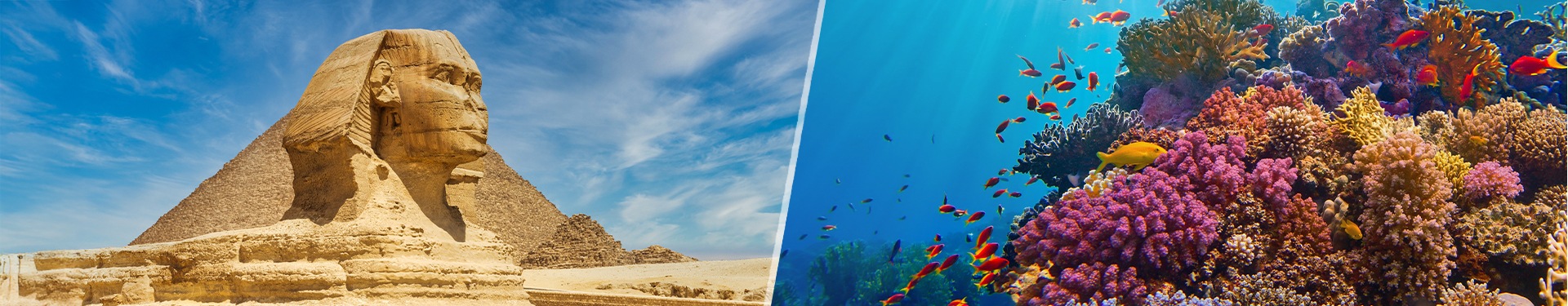 Sharm El Sheikh e Cairo