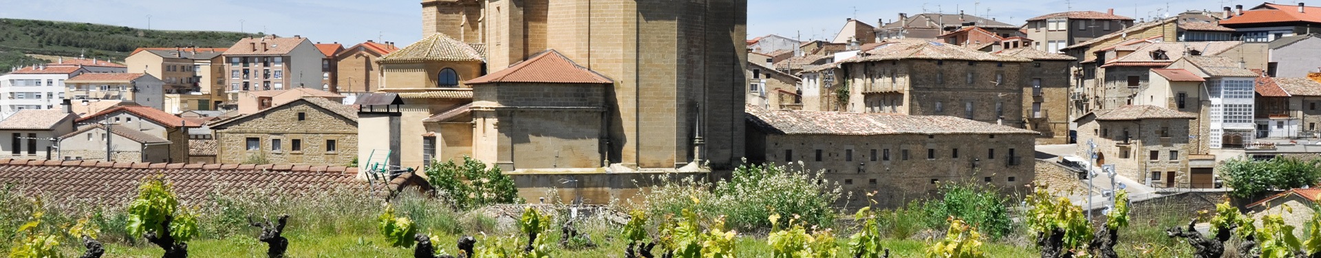 Percurso através do País Basco e Rioja Alavesa -Vinho, Gastronomia e Paisagens