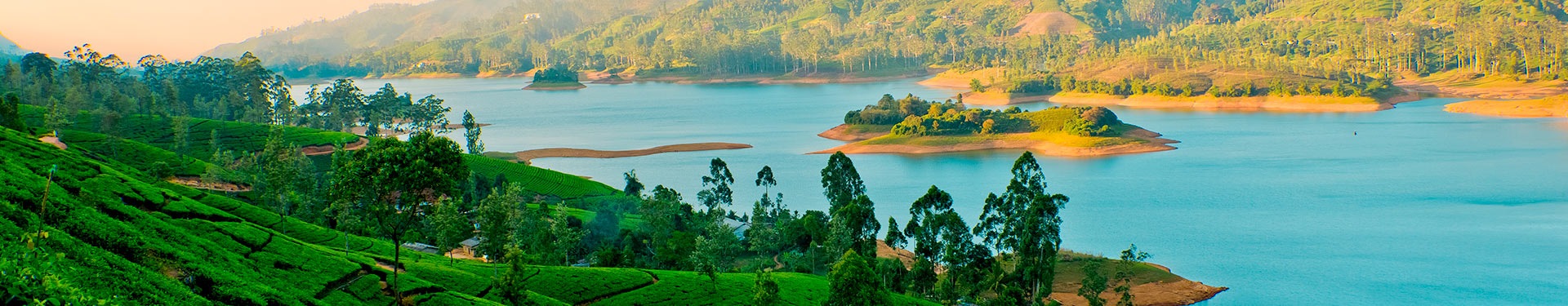De Colombo a Sigiriya com Yala, Nuwara Eliya e Maldivas