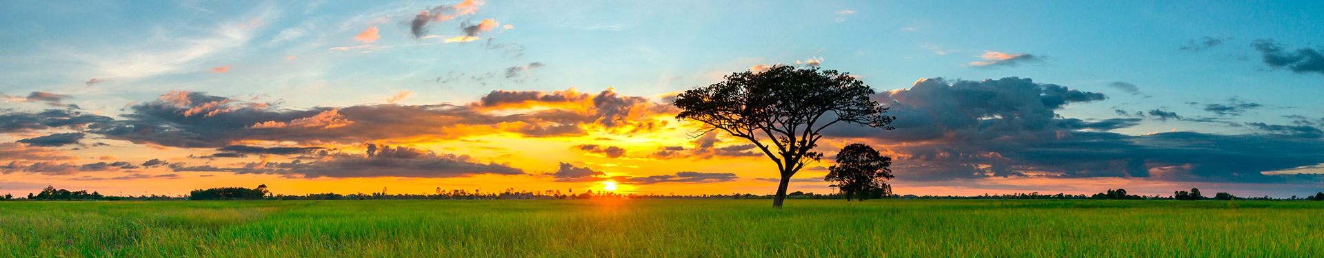 Masai Mara, Naivasha e Amboseli com Zanzibar