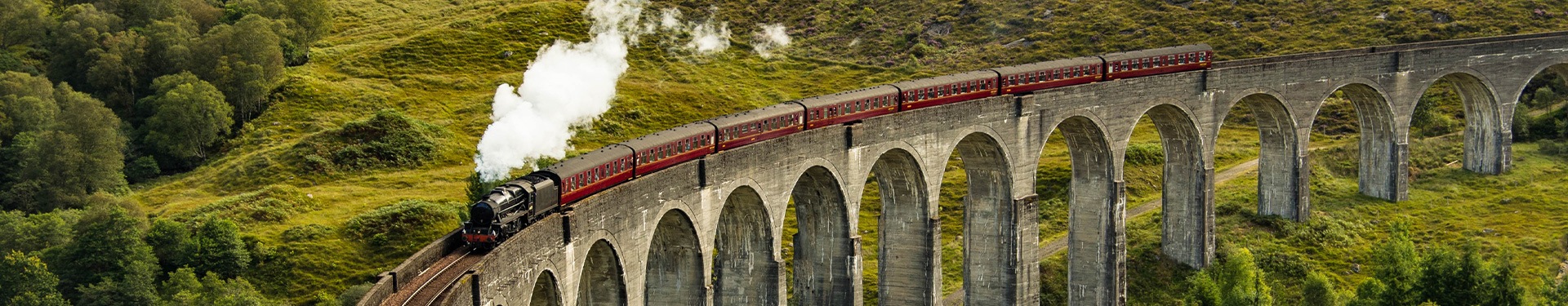 O Grande Percurso de Harry Potter