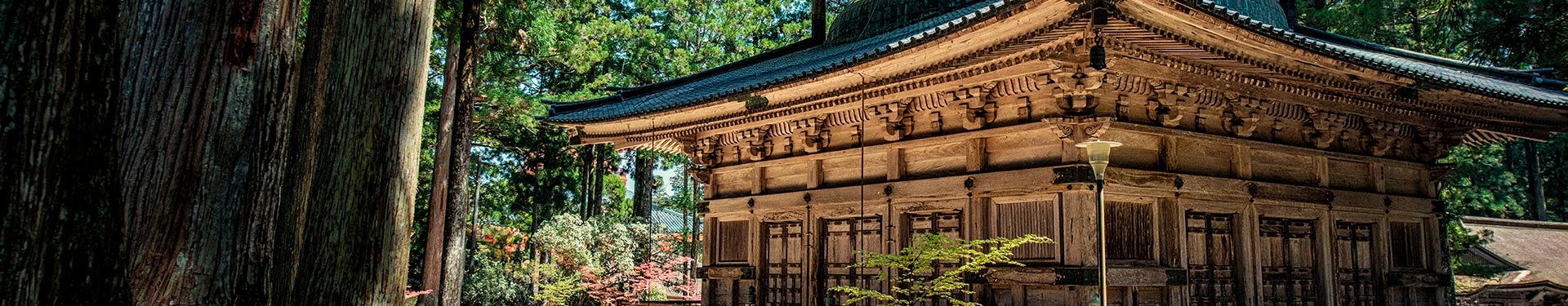 Osaka, Koya, Nikko, Tóquio e Quioto