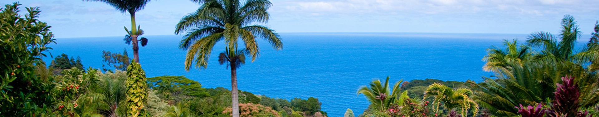 Nova Iorque, Honolulu (O'ahu) e Los Angeles