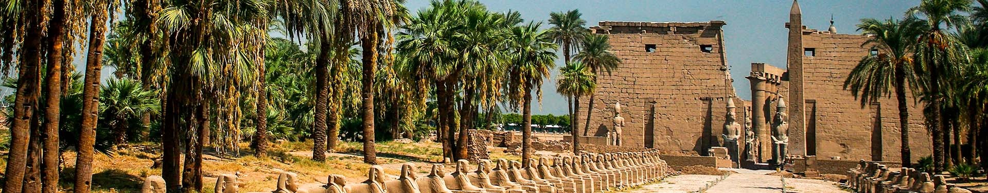 Do Cairo para Abu Simbel por estrada