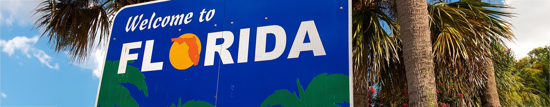 Walt Disney World Orlando e Miami